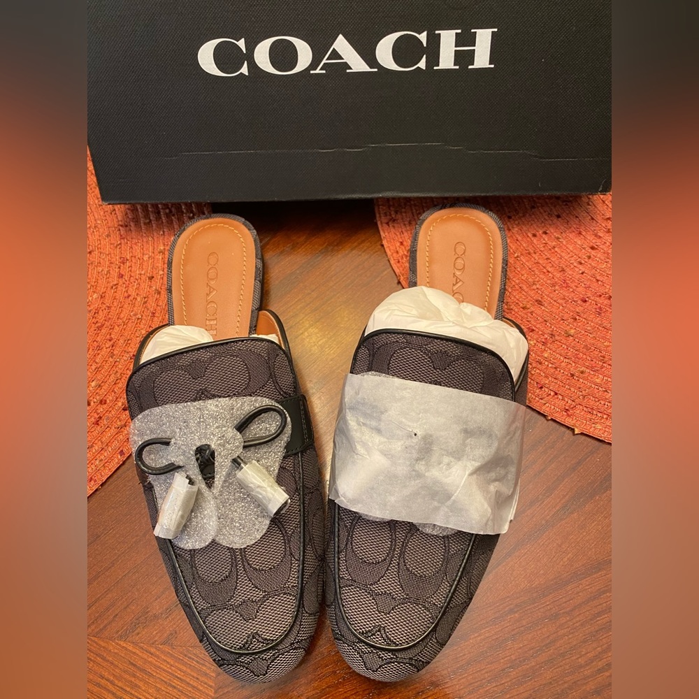 Black Coach slides